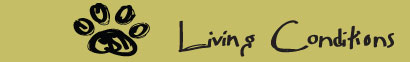 This is an link to the Living Conditions Page